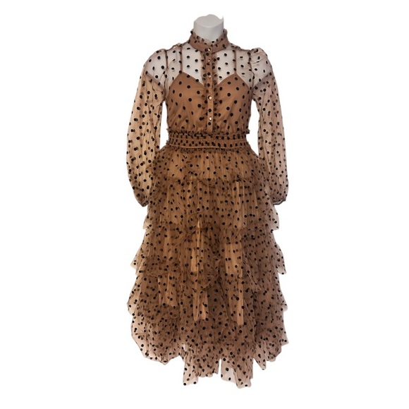 Mable Tulle Polka Dot Peasant Regency Cocktail Wedding Guest Formal Tea Dress - Picture 3 of 16